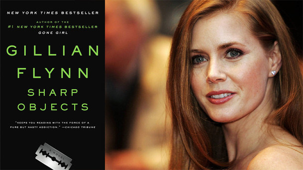 Ostré předměty: Amy Adams v příběhu od autorky Zmizelé | Fandíme serialům