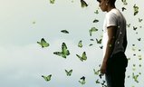 Mariposas Verdes | Fandíme filmu