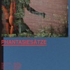 Phantasiesatze | Fandíme filmu