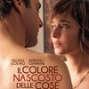 Il colore nascosto delle cose | Fandíme filmu