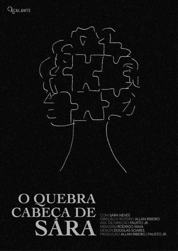 O Quebra-Cabeça de Sara | Fandíme filmu