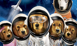 Space Buddies | Fandíme filmu