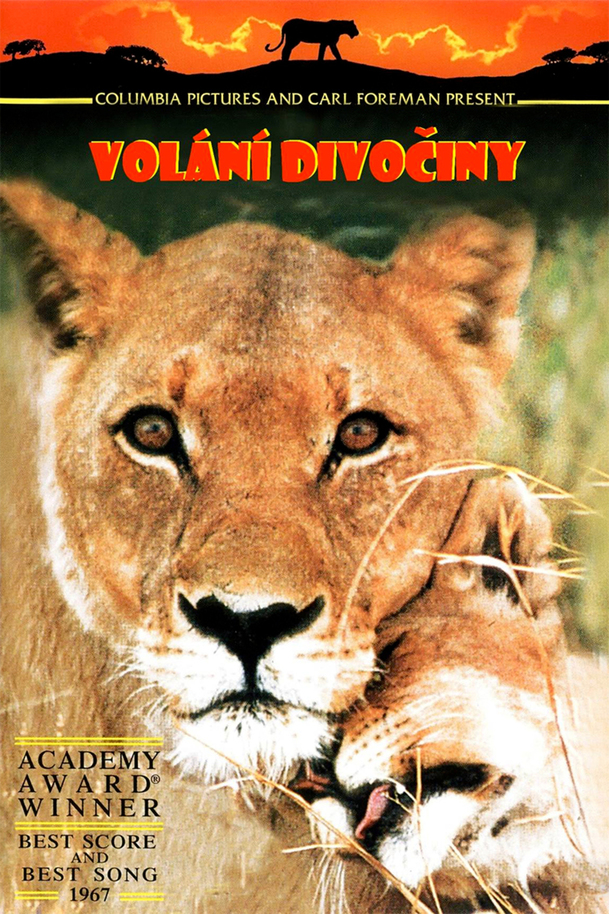 Volání divočiny | Fandíme filmu