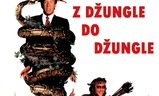 Z džungle do džungle | Fandíme filmu