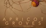 Apricot Groves | Fandíme filmu