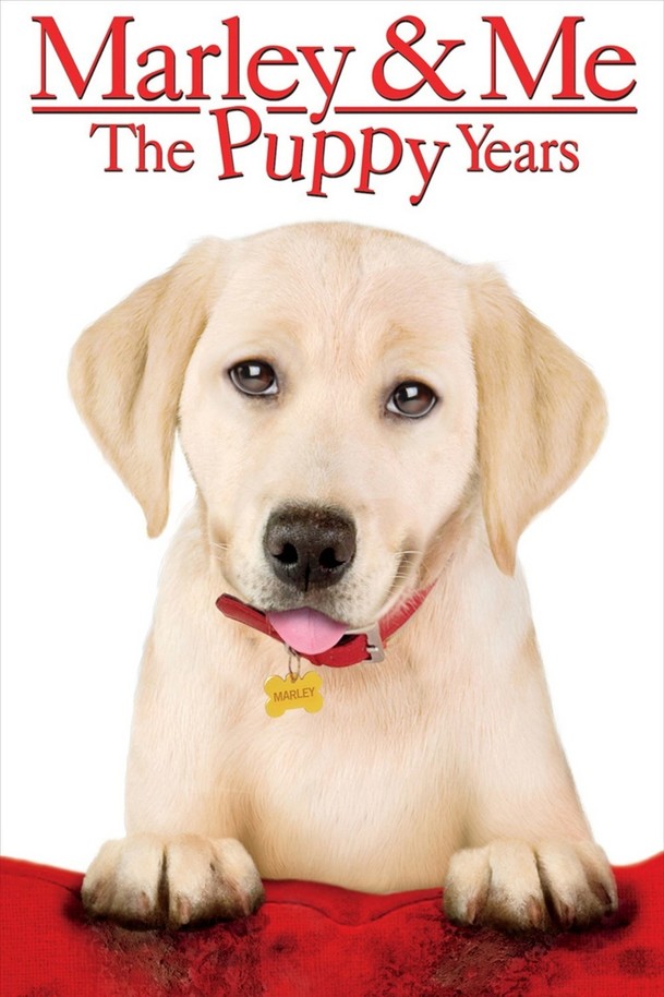 Marley & Me: The Puppy Years | Fandíme filmu