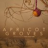 Apricot Groves | Fandíme filmu