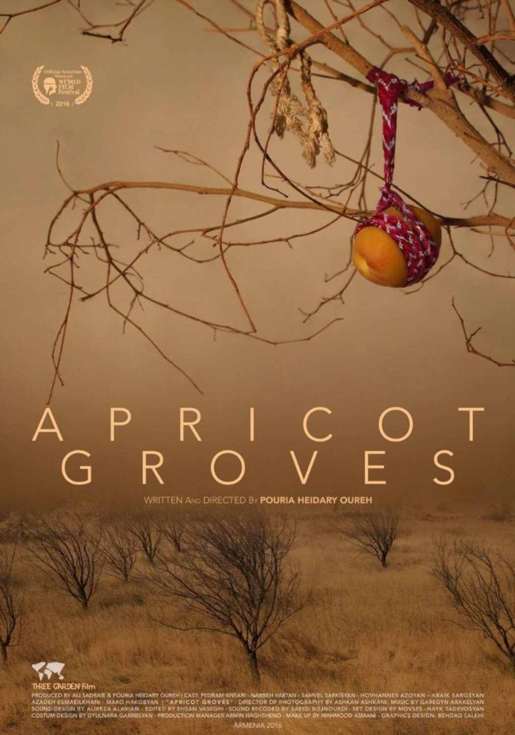 Apricot Groves | Fandíme filmu