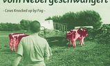 Kühe, vom Nebel geschwängert | Fandíme filmu