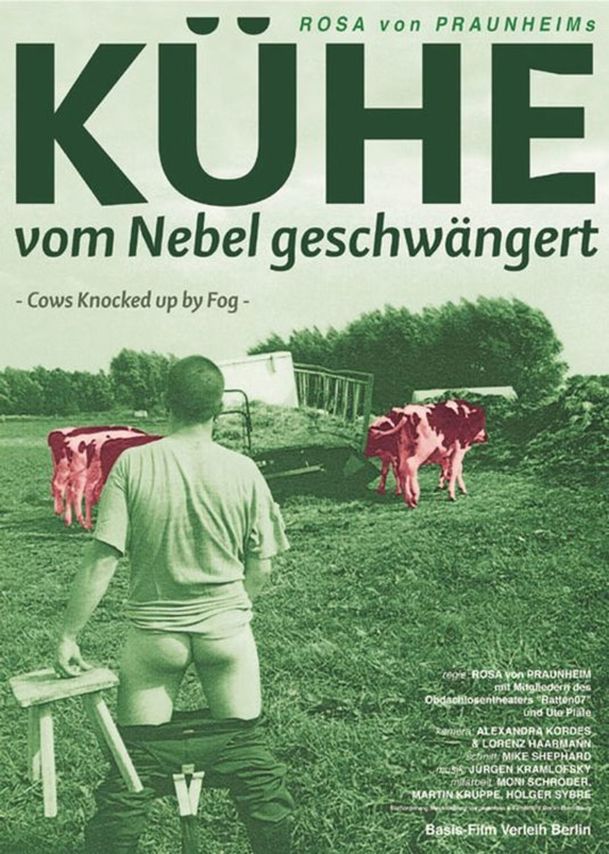 Kühe, vom Nebel geschwängert | Fandíme filmu