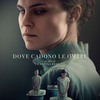 Dove cadono le ombre | Fandíme filmu