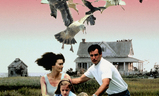 The Birds II: Land's End | Fandíme filmu