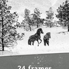 24 Frames | Fandíme filmu