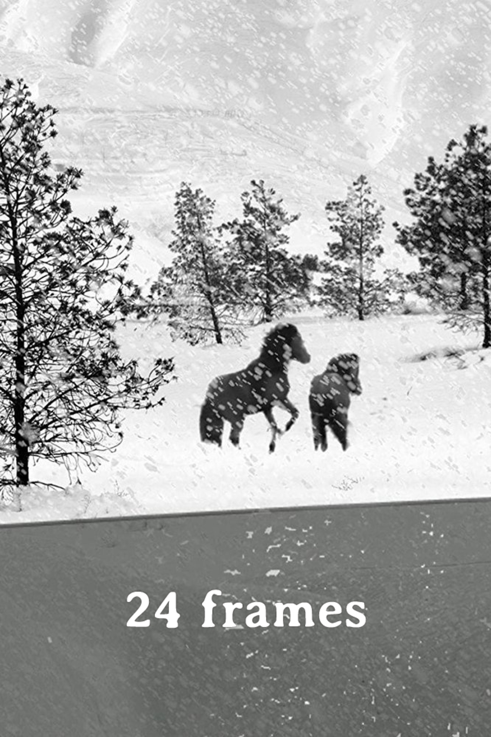 24 Frames | Fandíme filmu