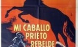 Mi caballo prieto rebelde | Fandíme filmu