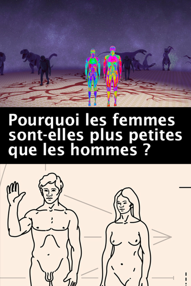 Pourquoi les femmes sont-elles plus petites que les hommes? | Fandíme filmu