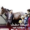 Jeder träumt von einem Pferd | Fandíme filmu