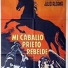 Mi caballo prieto rebelde | Fandíme filmu