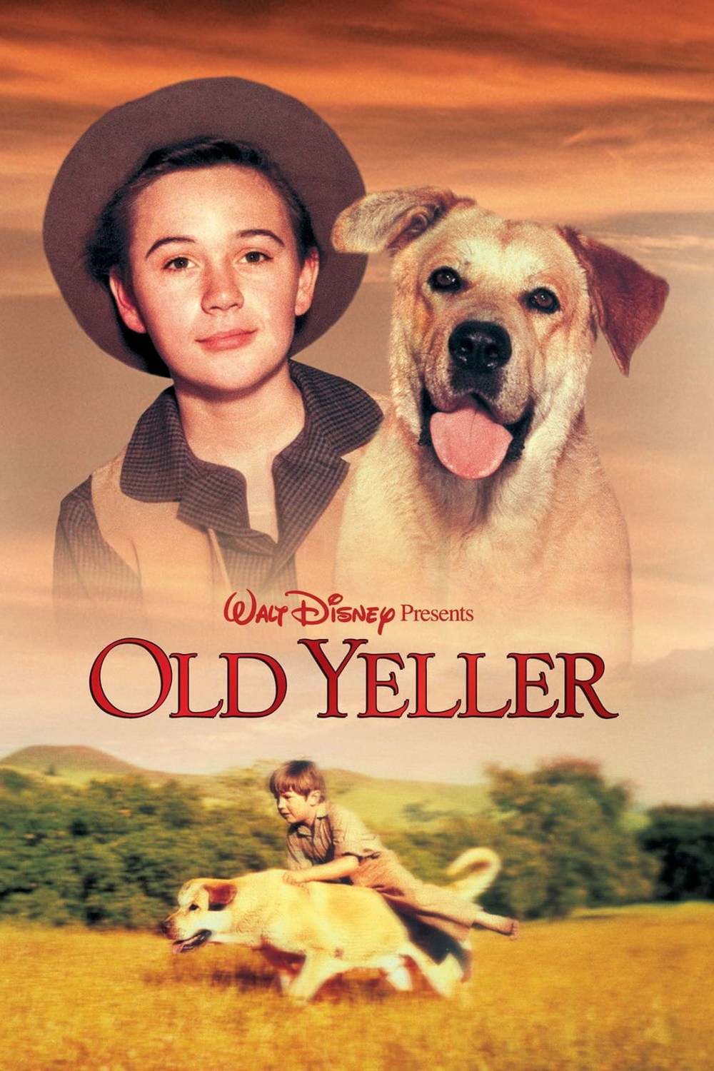 Old Yeller | Fandíme filmu