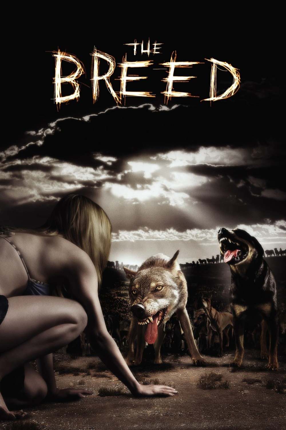 The Breed | Fandíme filmu