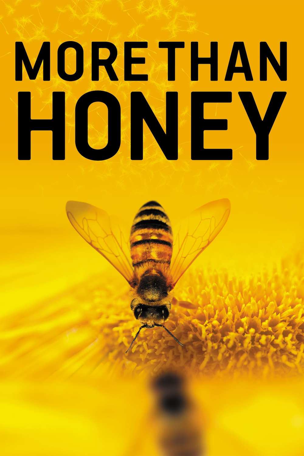 More Than Honey | Fandíme filmu