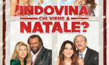 Indovina chi viene a Natale? | Fandíme filmu