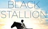 The Black Stallion | Fandíme filmu