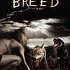 The Breed | Fandíme filmu