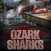 Ozark Sharks | Fandíme filmu