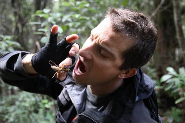 Face the Wild: Dobrodruh Bear Grylls uvede na FB novou show | Fandíme serialům