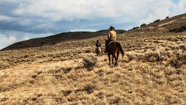 Yellowstone 2: Do těžce zkoušených amerických končin se vrátíme | Fandíme serialům