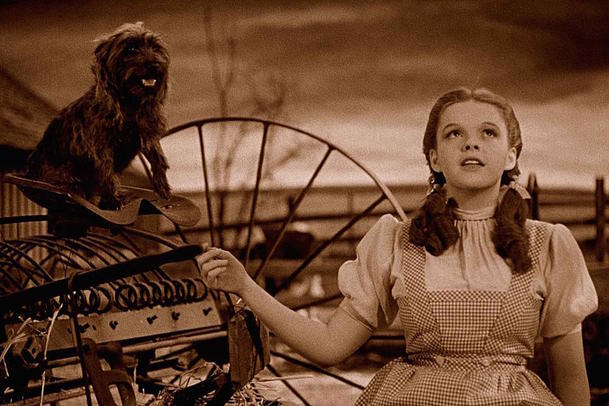 The Wizard of Oz: Warneři chystají netradiční animovanou verzi | Fandíme filmu