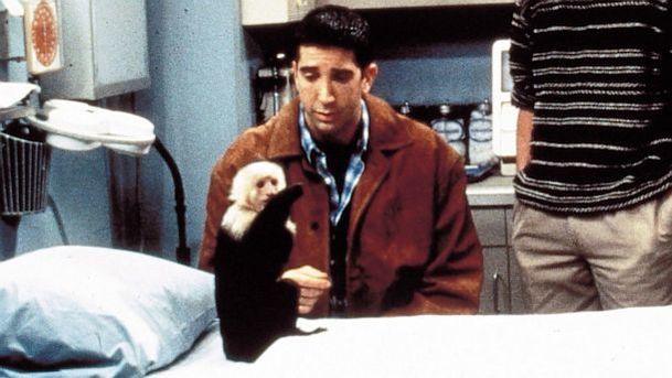 Přátelé: David Schwimmer prý s opicí nechtěl natáčet | Fandíme serialům