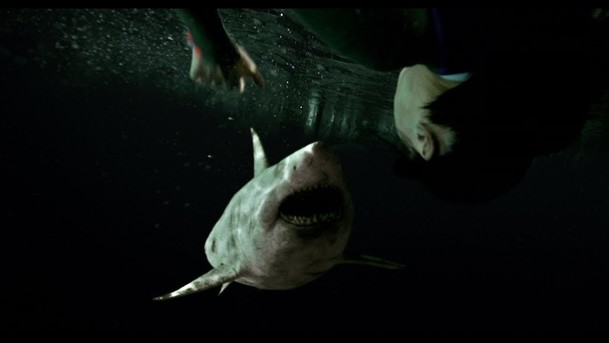 47 metrů: Žraločí série dostane třetí, dosud největší díl | Fandíme filmu