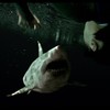 47 metrů: Žraločí série dostane třetí, dosud největší díl | Fandíme filmu