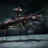 Paul Rudd: Když jsem dostal roli Ant-Mana, lidi se mi smáli | Fandíme filmu