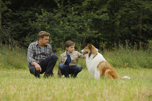 Lassie se vrací: Rodinná klasika má být jednou z prvních novinek, co po karanténě odvážně otevřou česká kina | Fandíme filmu