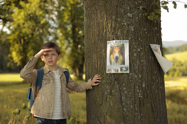 Lassie se vrací: Rodinná klasika má být jednou z prvních novinek, co po karanténě odvážně otevřou česká kina | Fandíme filmu