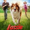 Lassie se vrací: Rodinná klasika má být jednou z prvních novinek, co po karanténě odvážně otevřou česká kina | Fandíme filmu