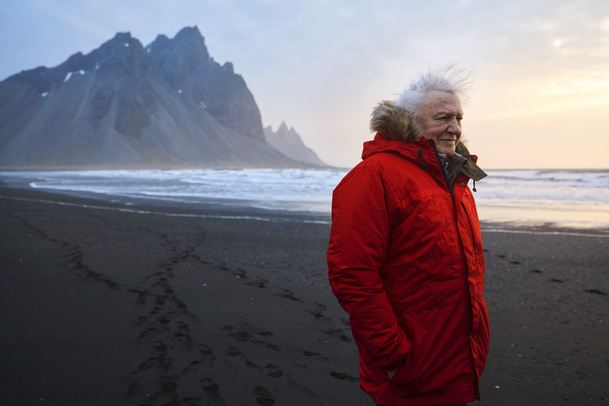 A Perfect Planet: Legendání David Attenborough představuje další dokument | Fandíme serialům