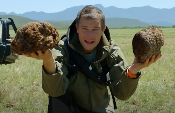 Poprask na Safari: Bear Grylls v interativním filmu od Netflixu. | Fandíme serialům