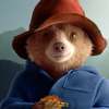 Paddington v džungli: Nový trailer přetéká dobrodružstvím | Fandíme filmu