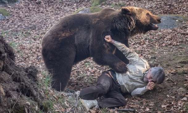 Savage Hunt: Po Slovensku budou medvědi řádit také v kinech | Fandíme filmu