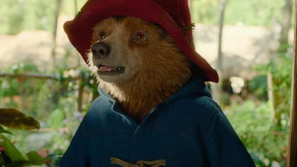 Paddington v džungli: Nový trailer přetéká dobrodružstvím | Fandíme filmu