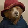 Paddington in Peru: První trailer nového dobrodružství je parádní | Fandíme filmu