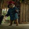 Paddington v džungli: Nový trailer přetéká dobrodružstvím | Fandíme filmu