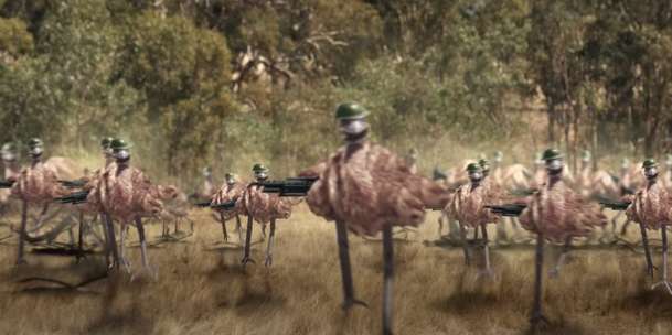 The Emu War: V ujeté komedii se rozpoutá válka lidí s velkými ptáky | Fandíme filmu