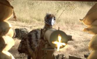 The Emu War: V ujeté komedii se rozpoutá válka lidí s velkými ptáky | Fandíme filmu