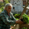 Zahradníkův rok: Kaiser hájí svůj domov před zazobaným sousedem | Fandíme filmu