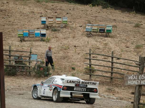 Závod o slávu: Audi a Lancia žhaví gumy v našich kinech | Fandíme filmu